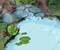 A 3D Pond_small.jpg